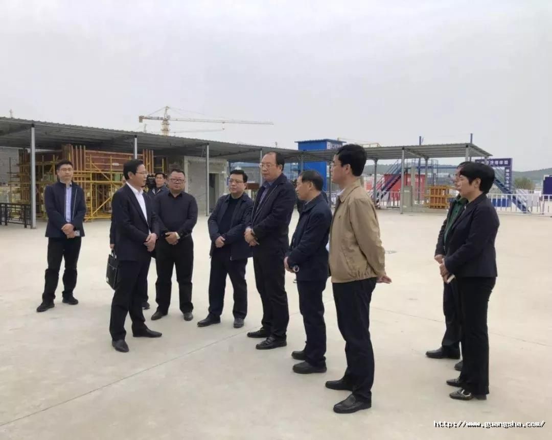 安徽省副省長調(diào)研廣廈施工項(xiàng)目.jpg